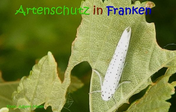 Copyright AiS Albert Meier Bild zum Eintrag (67319-160)