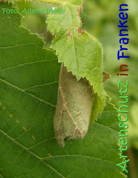 Bild zum Eintrag (67452-160)