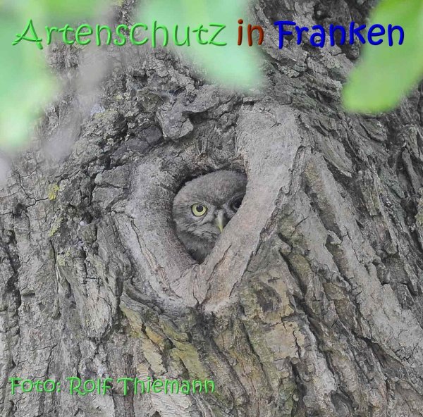 Copyright AiS Rolf Thiemann Bild zum Eintrag (67456-160)