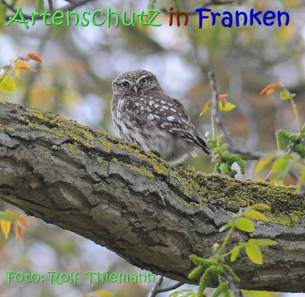 Copyright AiS Rolf Thiemann Bild zum Eintrag (67457-160)