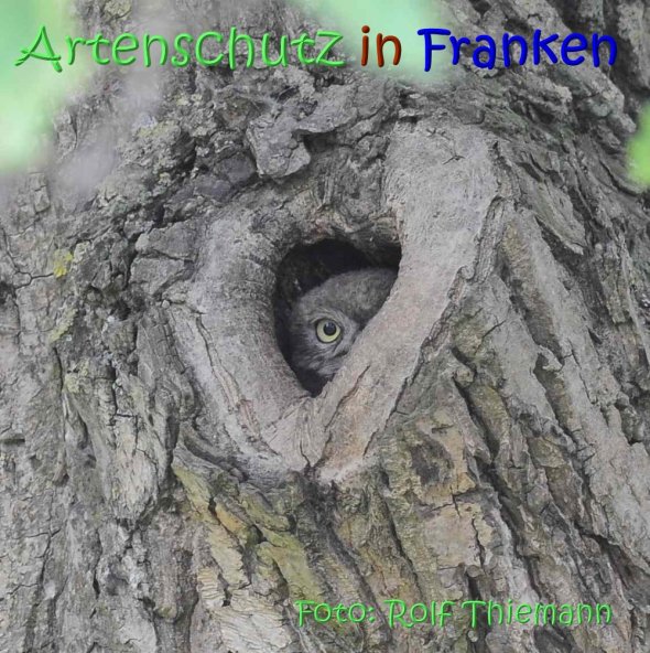 Bild zum Eintrag (67463-160)