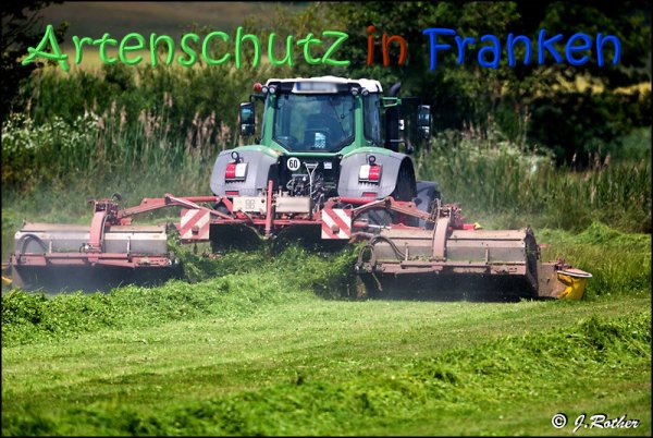 Copyright AiS Johannes Rother Bild zum Eintrag (67716-160)