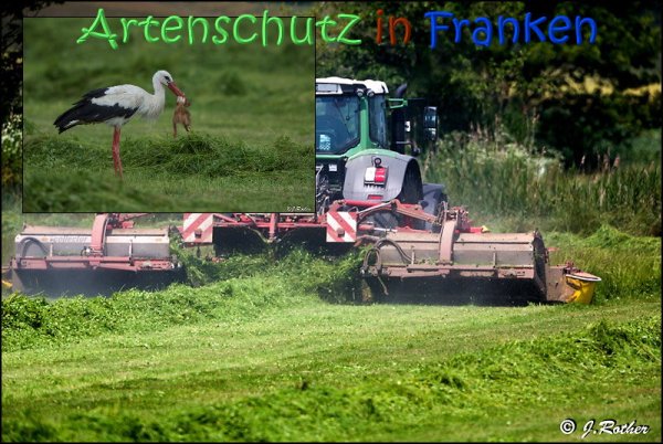 Copyright AiS Johannes Rother Bild zum Eintrag (67718-160)