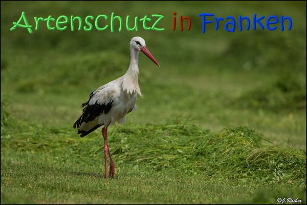 Bild zum Eintrag (67719-160)