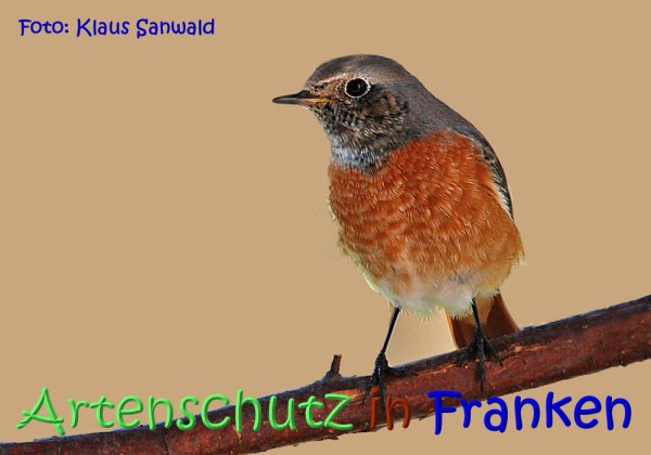 Copyright AiS Klaus Sanwald Bild zum Eintrag (67747-160)