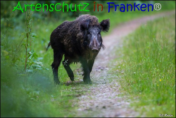 Bild zum Eintrag (67836-160)