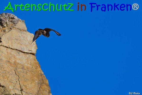 Copyright AiS Johannes Rother Bild zum Eintrag (68038-160)