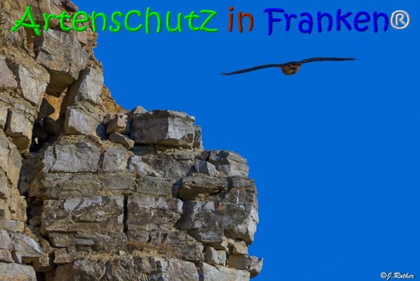 Copyright AiS Johannes Rother Bild zum Eintrag (68039-160)