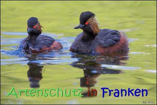 Copyright AiS Johannes Rother Bild zum Eintrag (68141-160)