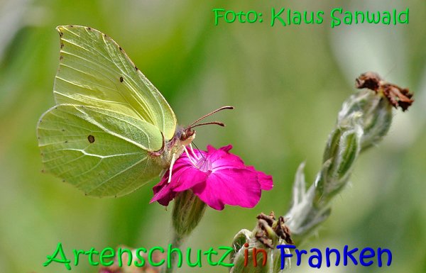 Copyright AiS Klaus Sanwald Bild zum Eintrag (68218-160)