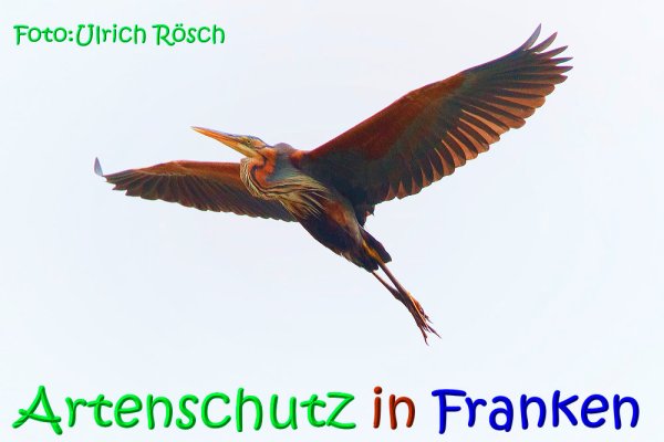 Copyright AiS Ulrich Rösch Bild zum Eintrag (68298-160)