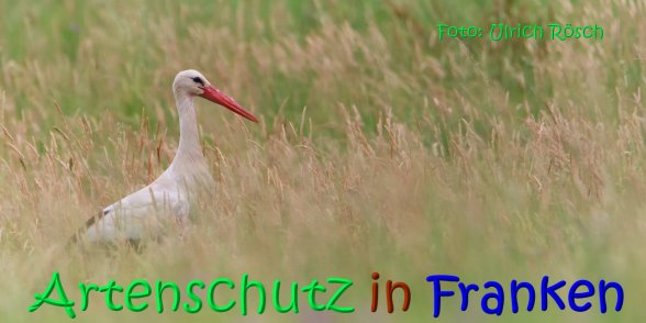 Copyright AiS Ulrich Rösch Bild zum Eintrag (68316-160)