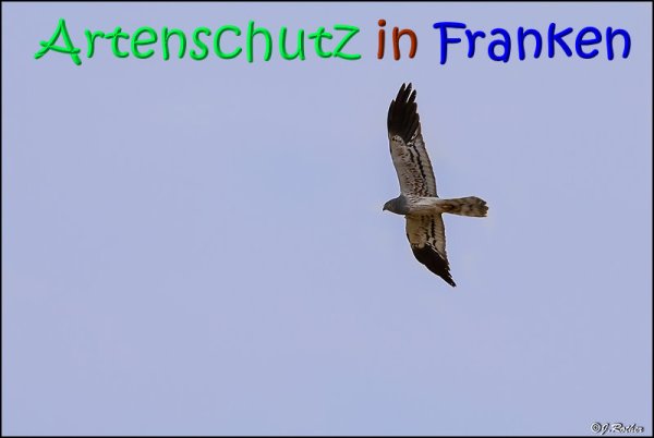 Bild zum Eintrag (68456-160)