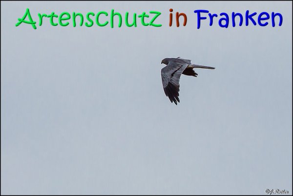 Bild zum Eintrag (68457-160)