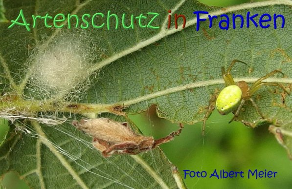 Copyright AiS Albert Meier Bild zum Eintrag (68616-160)