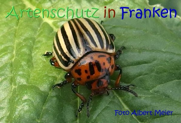 Bild zum Eintrag (68625-160)