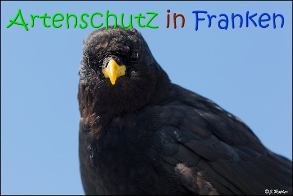 Copyright AiS Johannes Rother Bild zum Eintrag (69013-160)