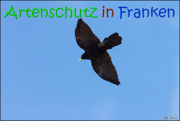 Copyright AiS Johannes Rother Bild zum Eintrag (69014-160)