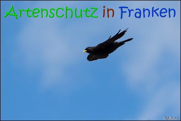 Copyright AiS Johannes Rother Bild zum Eintrag (69015-160)