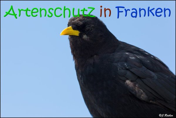 Copyright AiS Johannes Rother Bild zum Eintrag (69016-160)