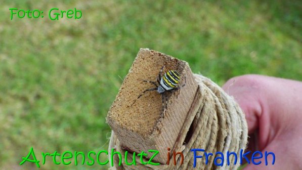 Copyright AiS Volkmar Greb Bild zum Eintrag (69128-160)