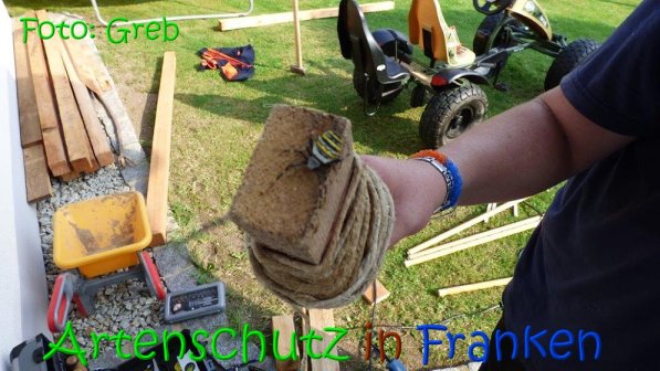 Copyright AiS Volkmar Greb Bild zum Eintrag (69129-160)