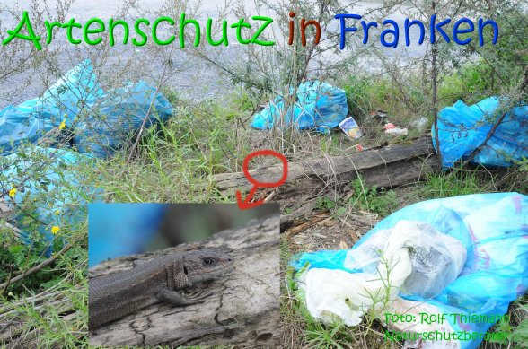Copyright AiS Rolf Thiemann Bild zum Eintrag (69141-160)