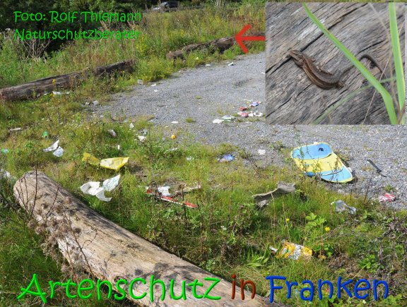 Copyright AiS Rolf Thiemann Bild zum Eintrag (69143-160)