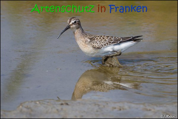 Copyright AiS Johannes Rother Bild zum Eintrag (69163-160)