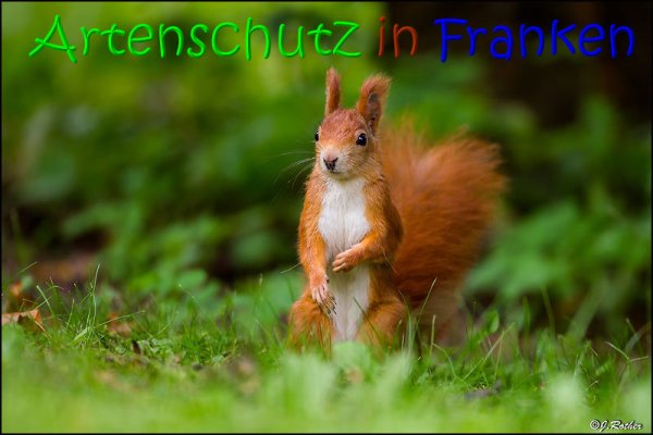 Copyright AiS Johannes Rother Bild zum Eintrag (69881-160)
