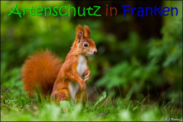 Copyright AiS Johannes Rother Bild zum Eintrag (69883-160)