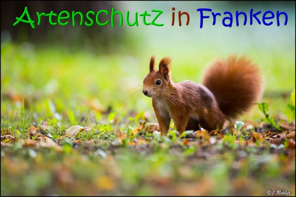 Copyright AiS Johannes Rother Bild zum Eintrag (69884-160)