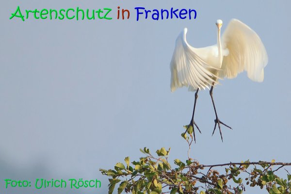 Copyright AiS Ulrich Rösch Bild zum Eintrag (70078-160)
