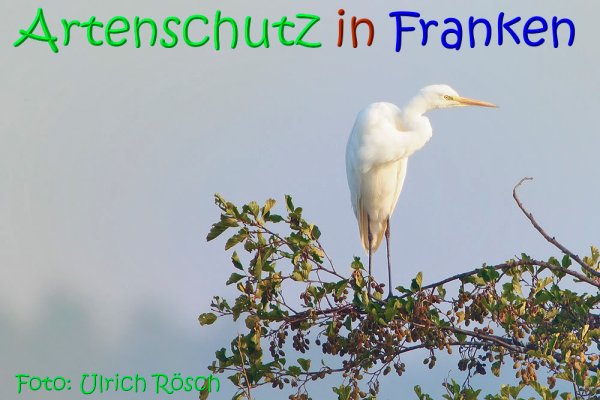 Copyright AiS Ulrich Rösch Bild zum Eintrag (70080-160)