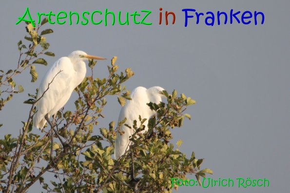 Copyright AiS Ulrich Rösch Bild zum Eintrag (70081-160)