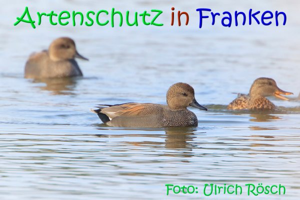 Copyright AiS Ulrich Rösch Bild zum Eintrag (70082-160)