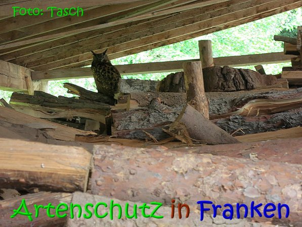 Copyright AiS Tasch Bild zum Eintrag (70273-160)