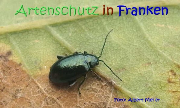 Copyright AiS Albert Meier Bild zum Eintrag (70356-160)