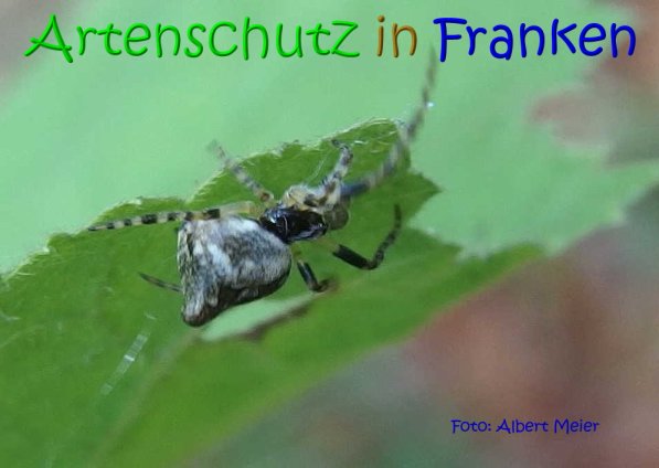 Copyright AiS Albert Meier Bild zum Eintrag (70457-160)