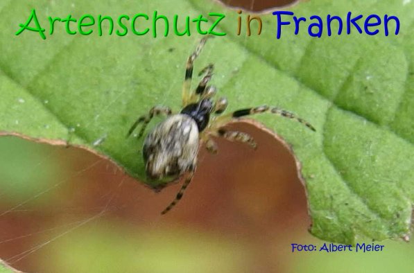 Copyright AiS Albert Meier Bild zum Eintrag (70459-160)