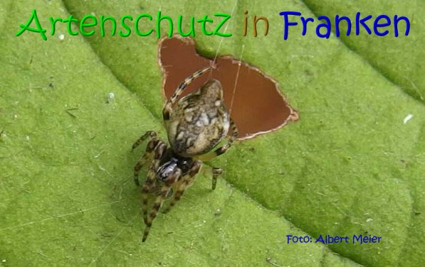 Copyright AiS Albert Meier Bild zum Eintrag (70460-160)