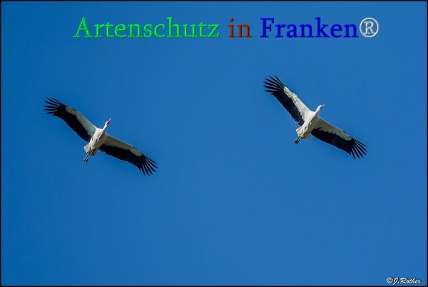 Copyright AiS Johannes Rother Bild zum Eintrag (71338-160)