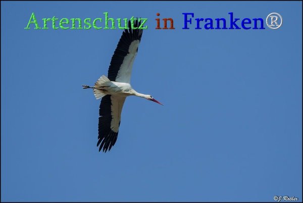 Copyright AiS Johannes Rother Bild zum Eintrag (71339-160)