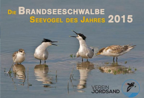 Copyright AiS Verein Jordsand zum Schutze der Seevögel und der Natur e.V. - Klaus Fiedler Bild zum Eintrag (71463-160)