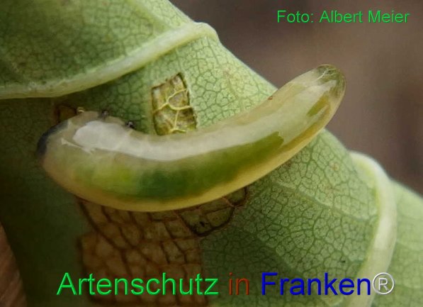 Bild zum Eintrag (71558-160)