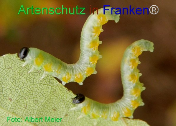Bild zum Eintrag (71564-160)