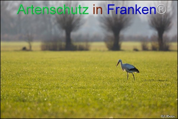 Copyright AiS Johannes Rother Bild zum Eintrag (71568-160)