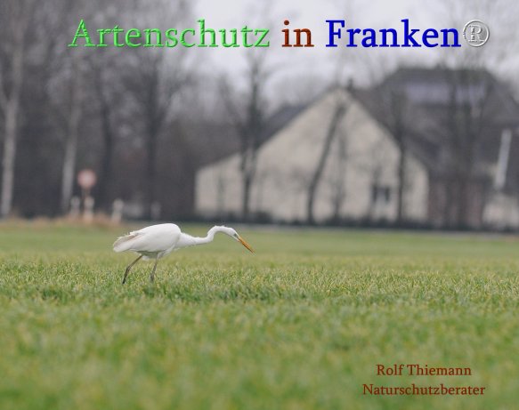 Copyright AiS Rolf Thiemann Bild zum Eintrag (71692-160)