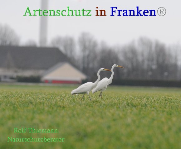 Copyright AiS Rolf Thiemann Bild zum Eintrag (71693-160)
