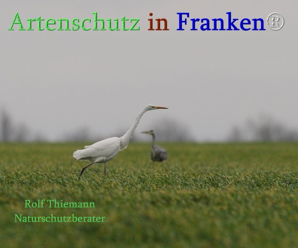 Copyright AiS Rolf Thiemann Bild zum Eintrag (71694-160)